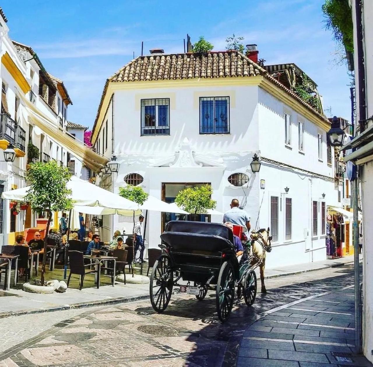 Apartamento El Cardenal Córdoba Exterior foto